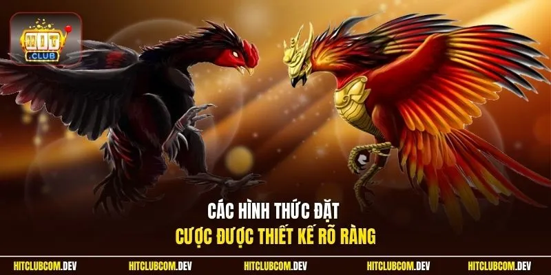 Các hình thức đặt cược được thiết kế rõ ràng