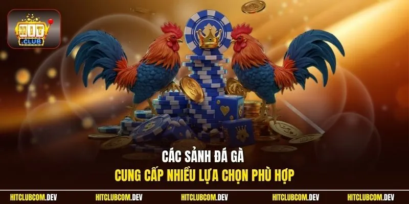 Các sảnh đá gà cung cấp nhiều lựa chọn phù hợp 