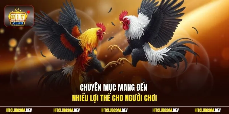 Chuyên mục mang đến nhiều lợi thế cho người chơi