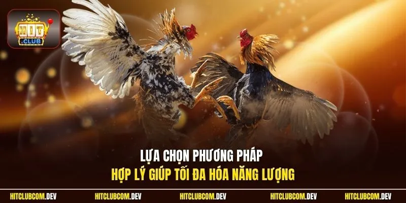 Lựa chọn phương pháp hợp lý giúp tối đa hóa năng lượng