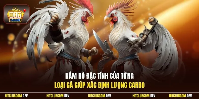 Nắm rõ đặc tính của từng loại gà giúp xác định lượng carbo