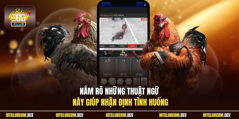 Nắm rõ những thuật ngữ này giúp nhận định tình huống