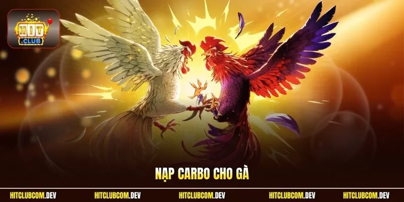 Nạp Carbo Cho Gà