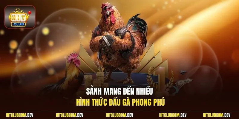 Sảnh mang đến nhiều hình thức đấu gà phong phú