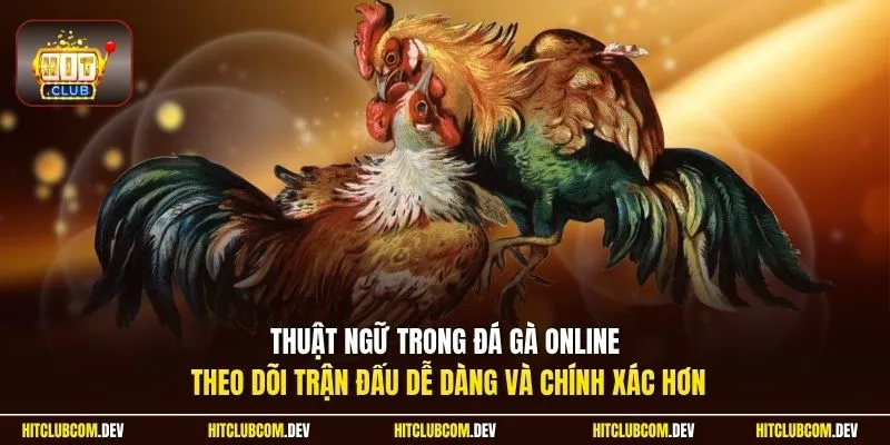 Thuật ngữ trong đá gà online theo dõi trận đấu dễ dàng và chính xác hơn