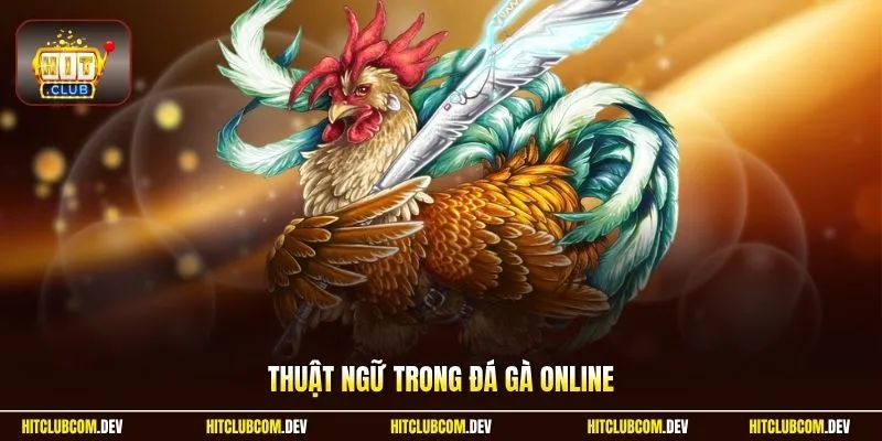 Thuật Ngữ Trong Đá Gà Online